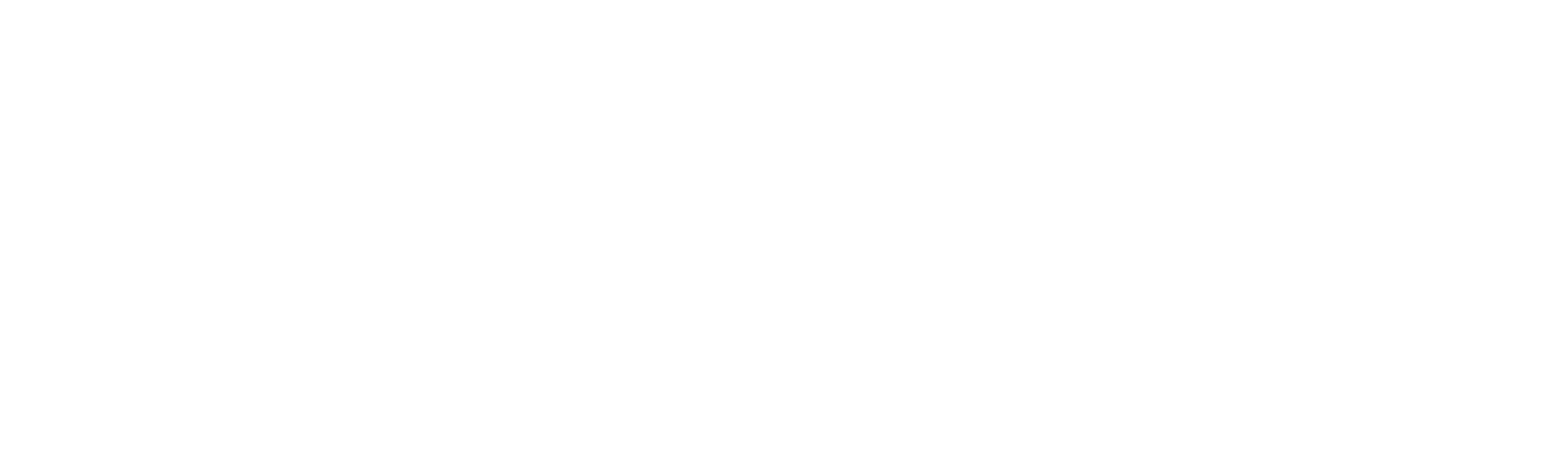 CERM MIS Logo White